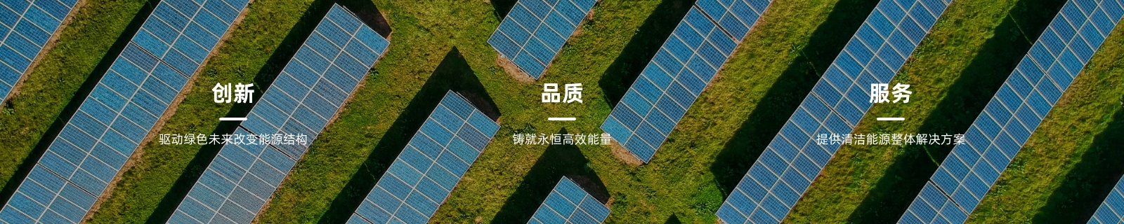 组 29.jpg